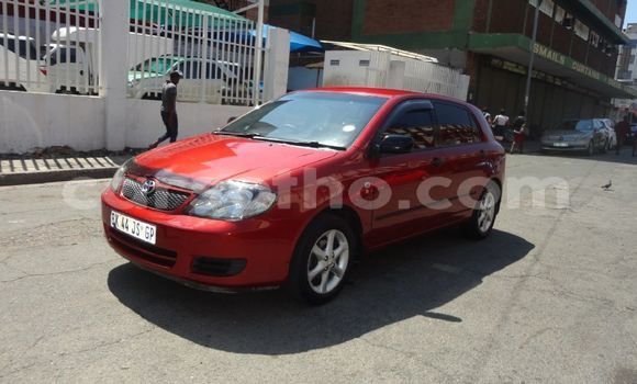 Sayi Na hannu Toyota Runx Red Mota in Maseru a Maseru Sayi Na hannu Toyota Runx Red Mota in Maseru a Maseru