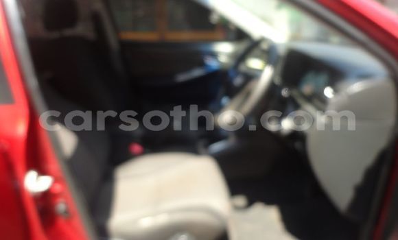 Sayi Na hannu Toyota Runx Red Mota in Maseru a Maseru Sayi Na hannu Toyota Runx Red Mota in Maseru a Maseru