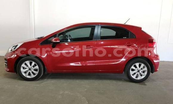 اشتري مستعمل Kia Rio Red سيارة في Maseru في Maseru اشتري مستعمل Kia Rio Red سيارة في Maseru في Maseru