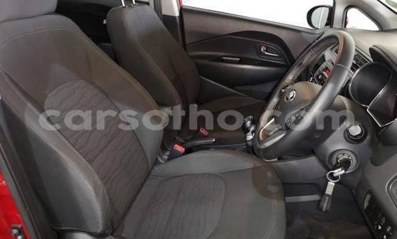 اشتري مستعمل Kia Rio Red سيارة في Maseru في Maseru اشتري مستعمل Kia Rio Red سيارة في Maseru في Maseru