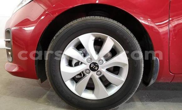 اشتري مستعمل Kia Rio Red سيارة في Maseru في Maseru اشتري مستعمل Kia Rio Red سيارة في Maseru في Maseru
