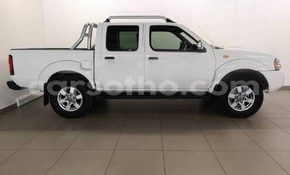 اشتري مستعمل Nissan NP 300 Green سيارة في Maputsoe في Leribe اشتري مستعمل Nissan NP 300 Green سيارة في Maputsoe في Leribe