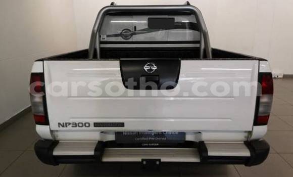 اشتري مستعمل Nissan NP 300 Green سيارة في Maputsoe في Leribe اشتري مستعمل Nissan NP 300 Green سيارة في Maputsoe في Leribe
