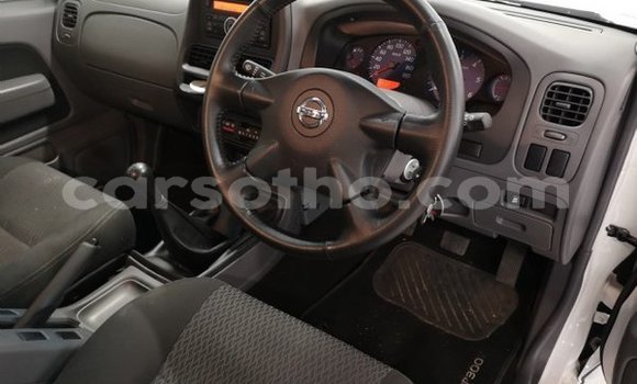 اشتري مستعمل Nissan NP 300 Green سيارة في Maputsoe في Leribe اشتري مستعمل Nissan NP 300 Green سيارة في Maputsoe في Leribe