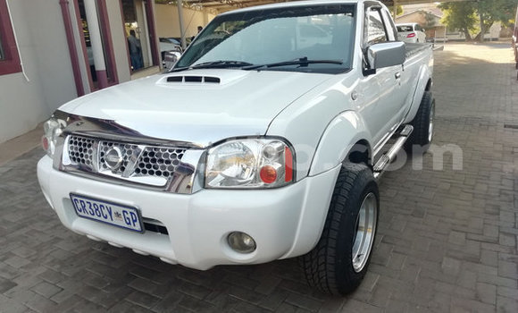 Buy Used Nissan NP 300 Green Car in Maputsoa in Leribe Buy Used Nissan NP 300 Green Car in Maputsoa in Leribe