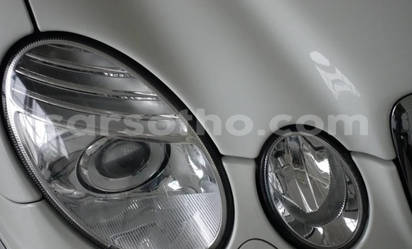 Buy Used Mercedes-Benz E–Class Green Car in Maputsoe in Leribe Buy Used Mercedes-Benz E–Class Green Car in Maputsoe in Leribe