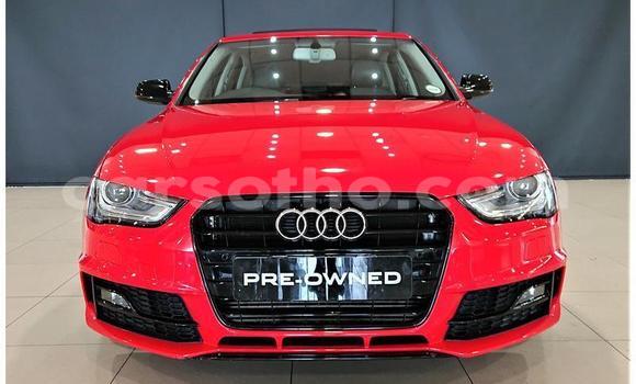 Buy Used Audi A4 Red Car in Maseru in Maseru Buy Used Audi A4 Red Car in Maseru in Maseru
