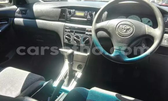 Sayi Na hannu Toyota Runx White Mota in Maseru a Maseru Sayi Na hannu Toyota Runx White Mota in Maseru a Maseru