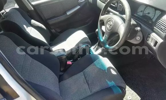 Sayi Na hannu Toyota Runx White Mota in Maseru a Maseru Sayi Na hannu Toyota Runx White Mota in Maseru a Maseru