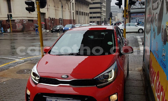 Sayi Na hannu Kia Picanto Red Mota in Maseru a Maseru Sayi Na hannu Kia Picanto Red Mota in Maseru a Maseru