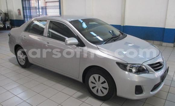 Buy Used Toyota Corolla Silver Car in Maseru in Maseru Buy Used Toyota Corolla Silver Car in Maseru in Maseru