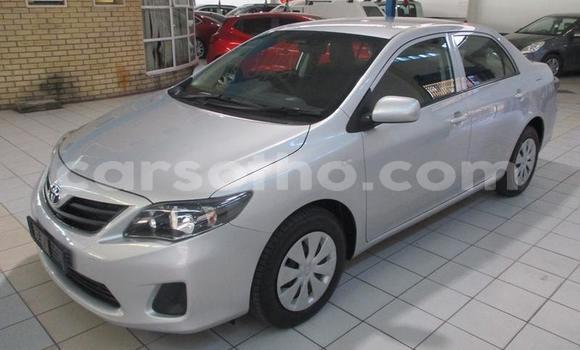 Buy Used Toyota Corolla Silver Car in Maseru in Maseru Buy Used Toyota Corolla Silver Car in Maseru in Maseru