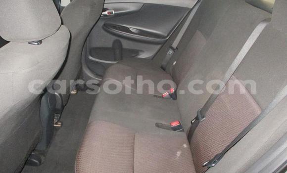 Buy Used Toyota Corolla Silver Car in Maseru in Maseru Buy Used Toyota Corolla Silver Car in Maseru in Maseru