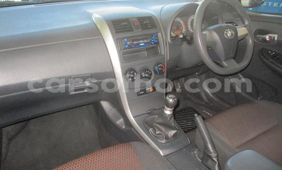 Buy Used Toyota Corolla Silver Car in Maseru in Maseru Buy Used Toyota Corolla Silver Car in Maseru in Maseru