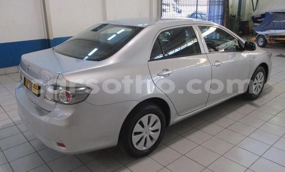 Buy Used Toyota Corolla Silver Car in Maseru in Maseru Buy Used Toyota Corolla Silver Car in Maseru in Maseru