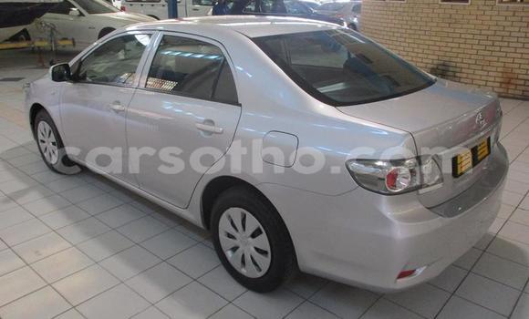 Buy Used Toyota Corolla Silver Car in Maseru in Maseru Buy Used Toyota Corolla Silver Car in Maseru in Maseru