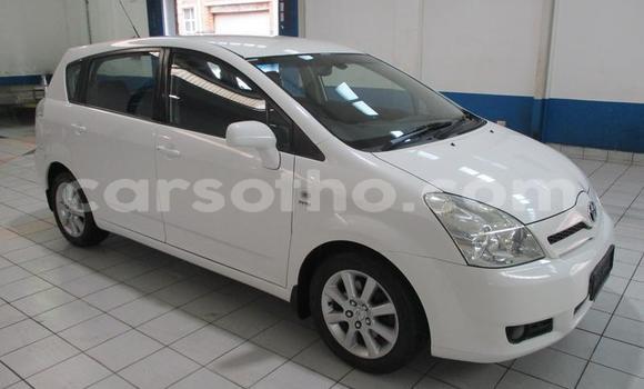 اشتري مستعمل Toyota Corolla Verso White سيارة في Maseru في Maseru اشتري مستعمل Toyota Corolla Verso White سيارة في Maseru في Maseru