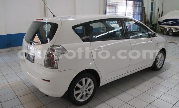 اشتري مستعمل Toyota Corolla Verso White سيارة في Maseru في Maseru اشتري مستعمل Toyota Corolla Verso White سيارة في Maseru في Maseru