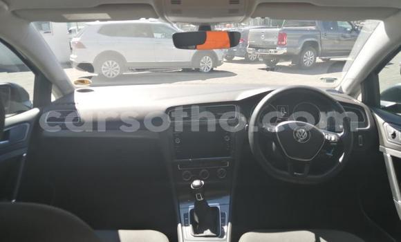اشتري مستعمل Volkswagen Golf Other سيارة في Hlotse في Leribe اشتري مستعمل Volkswagen Golf Other سيارة في Hlotse في Leribe