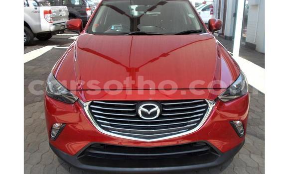 Buy Used Mazda CX-3 Red Car in Maseru in Maseru Buy Used Mazda CX-3 Red Car in Maseru in Maseru