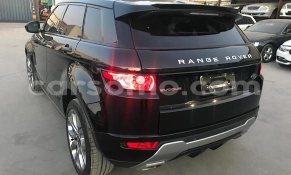 اشتري مستعمل Rover 600 Black سيارة في Mafeteng في Mafeteng اشتري مستعمل Rover 600 Black سيارة في Mafeteng في Mafeteng