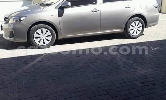 اشتري مستعمل Toyota Corolla Silver سيارة في Maseru في Maseru اشتري مستعمل Toyota Corolla Silver سيارة في Maseru في Maseru