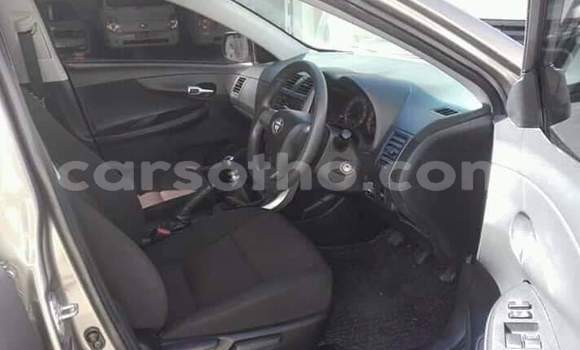 اشتري مستعمل Toyota Corolla Silver سيارة في Maseru في Maseru اشتري مستعمل Toyota Corolla Silver سيارة في Maseru في Maseru