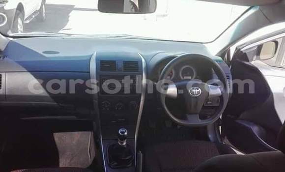 اشتري مستعمل Toyota Corolla Silver سيارة في Maseru في Maseru اشتري مستعمل Toyota Corolla Silver سيارة في Maseru في Maseru