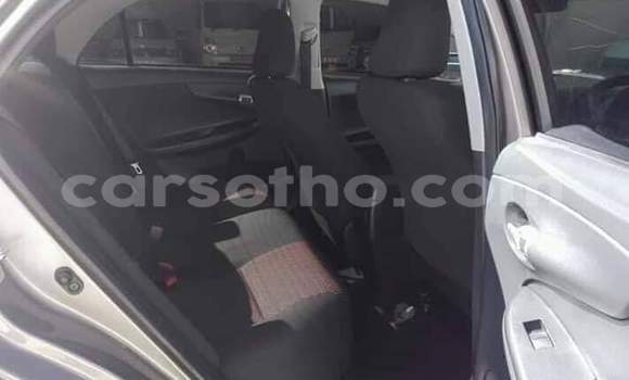 اشتري مستعمل Toyota Corolla Silver سيارة في Maseru في Maseru اشتري مستعمل Toyota Corolla Silver سيارة في Maseru في Maseru