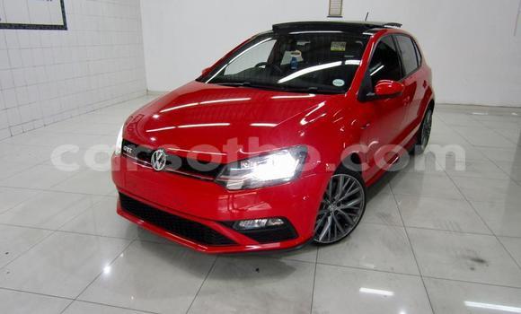 اشتري مستعمل Volkswagen Polo GTI Red سيارة في Maseru في Maseru اشتري مستعمل Volkswagen Polo GTI Red سيارة في Maseru في Maseru