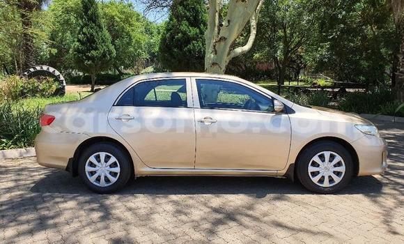 Sayi Na hannu Toyota Corolla Beige Mota in Maseru a Maseru Sayi Na hannu Toyota Corolla Beige Mota in Maseru a Maseru