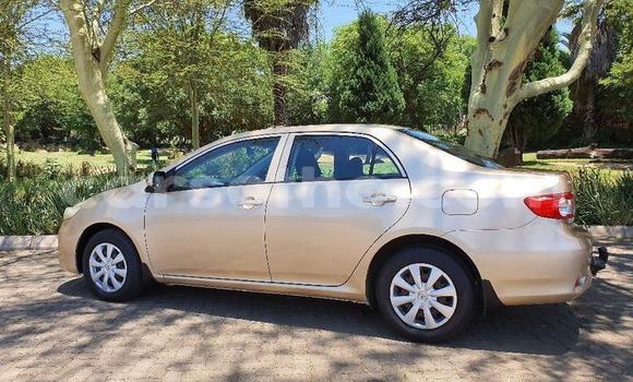 Sayi Na hannu Toyota Corolla Beige Mota in Maseru a Maseru Sayi Na hannu Toyota Corolla Beige Mota in Maseru a Maseru