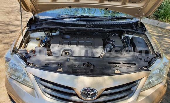 Sayi Na hannu Toyota Corolla Beige Mota in Maseru a Maseru Sayi Na hannu Toyota Corolla Beige Mota in Maseru a Maseru