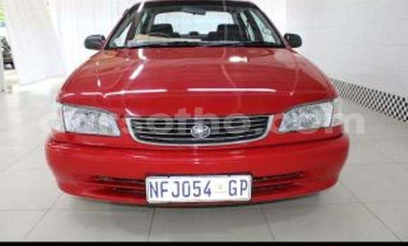 Buy Used Toyota Corolla Red Car in Maputsoe in Leribe Buy Used Toyota Corolla Red Car in Maputsoe in Leribe
