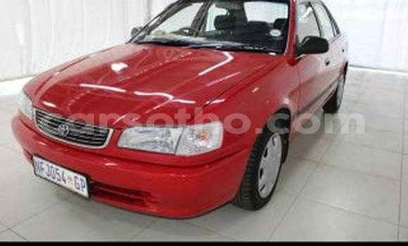 Buy Used Toyota Corolla Red Car in Maputsoe in Leribe Buy Used Toyota Corolla Red Car in Maputsoe in Leribe