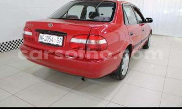 Buy Used Toyota Corolla Red Car in Maputsoe in Leribe Buy Used Toyota Corolla Red Car in Maputsoe in Leribe