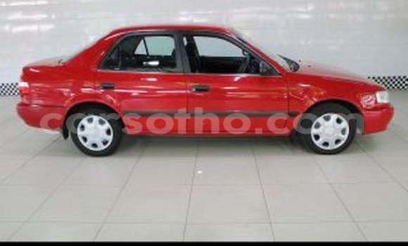 Buy Used Toyota Corolla Red Car in Maputsoe in Leribe Buy Used Toyota Corolla Red Car in Maputsoe in Leribe