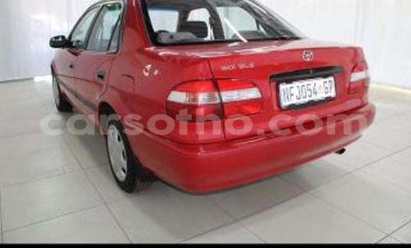 Buy Used Toyota Corolla Red Car in Maputsoe in Leribe Buy Used Toyota Corolla Red Car in Maputsoe in Leribe