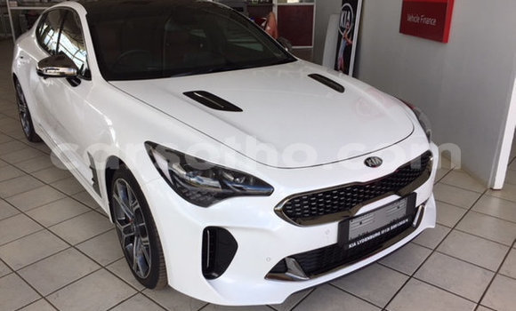 Acheter Occasion Voiture Kia Stinger Blanc à Maputsoa, Leribe Acheter Occasion Voiture Kia Stinger Blanc à Maputsoa, Leribe