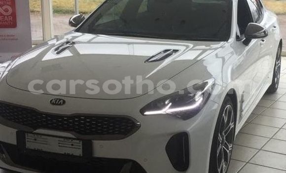 اشتري مستعمل Kia Stinger White سيارة في Maputsoa في Leribe اشتري مستعمل Kia Stinger White سيارة في Maputsoa في Leribe