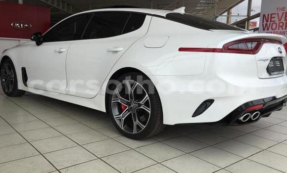 اشتري مستعمل Kia Stinger White سيارة في Maputsoa في Leribe اشتري مستعمل Kia Stinger White سيارة في Maputsoa في Leribe