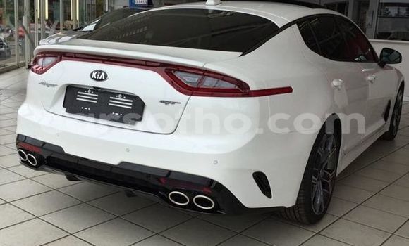 اشتري مستعمل Kia Stinger White سيارة في Maputsoa في Leribe اشتري مستعمل Kia Stinger White سيارة في Maputsoa في Leribe