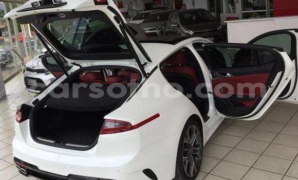 اشتري مستعمل Kia Stinger White سيارة في Maputsoa في Leribe اشتري مستعمل Kia Stinger White سيارة في Maputsoa في Leribe
