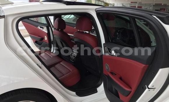 اشتري مستعمل Kia Stinger White سيارة في Maputsoa في Leribe اشتري مستعمل Kia Stinger White سيارة في Maputsoa في Leribe