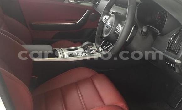 اشتري مستعمل Kia Stinger White سيارة في Maputsoa في Leribe اشتري مستعمل Kia Stinger White سيارة في Maputsoa في Leribe