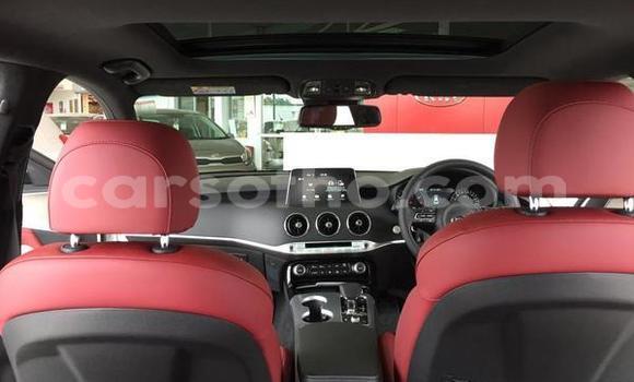 اشتري مستعمل Kia Stinger White سيارة في Maputsoa في Leribe اشتري مستعمل Kia Stinger White سيارة في Maputsoa في Leribe