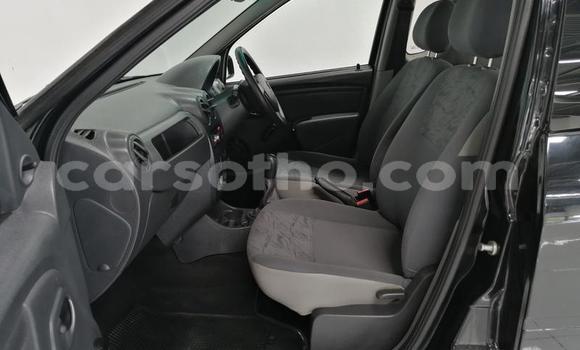 اشتري مستعمل Nissan NP 300 Beige سيارة في Butha Buthe في Butha-Buthe اشتري مستعمل Nissan NP 300 Beige سيارة في Butha Buthe في Butha-Buthe