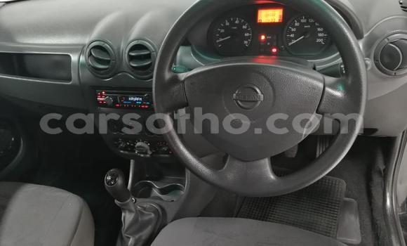 اشتري مستعمل Nissan NP 300 Beige سيارة في Butha Buthe في Butha-Buthe اشتري مستعمل Nissan NP 300 Beige سيارة في Butha Buthe في Butha-Buthe