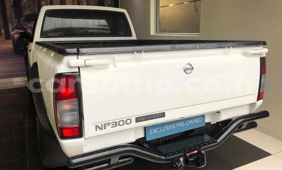 Sayi Na hannu Nissan NP 300 White Mota in Maseru a Maseru Sayi Na hannu Nissan NP 300 White Mota in Maseru a Maseru