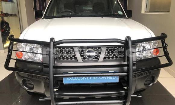 Sayi Na hannu Nissan NP 300 White Mota in Maseru a Maseru Sayi Na hannu Nissan NP 300 White Mota in Maseru a Maseru